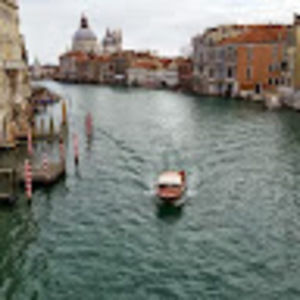 Meet your Posher, Carolina